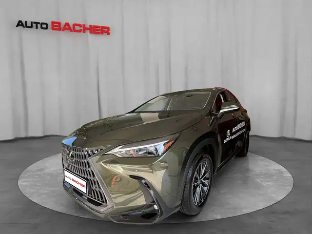 Lexus NX 350h Business Line 244 PS