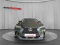 Lexus NX 350h Business Line 244 PS Grün - thumbnail 2