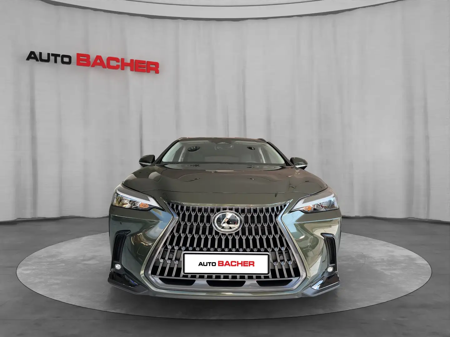 Lexus NX 350h Business Line 244 PS Grün - 2