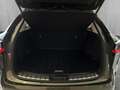 Lexus NX 350h Business Line 244 PS Grün - thumbnail 5