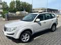 Subaru Forester Forester 2.0XS Bi-Fuel AT 4NGP Blanc - thumbnail 1