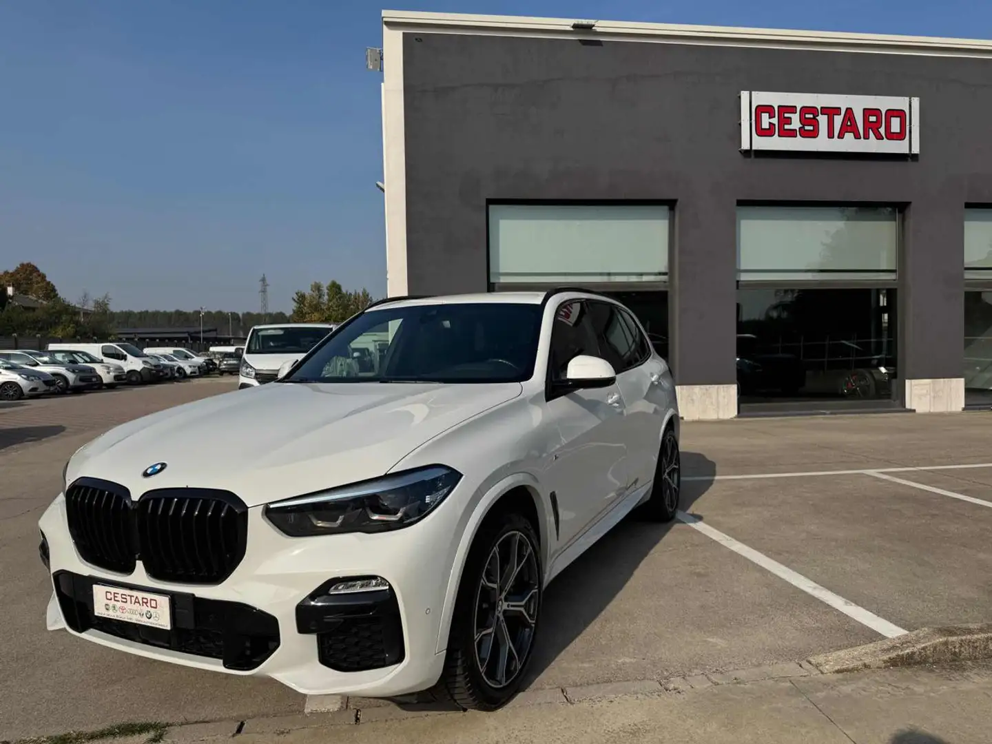 BMW X5 xDrive25d Msport Bianco - 1