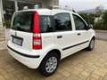 Fiat Panda 1.2 MyLife Blanco - thumbnail 6