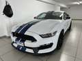 Ford Mustang Shelby GT350 Blanco - thumbnail 16
