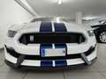 Ford Mustang Shelby GT350 Blanco - thumbnail 15