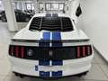 Ford Mustang Shelby GT350 Blanco - thumbnail 7