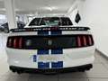 Ford Mustang Shelby GT350 Blanco - thumbnail 5