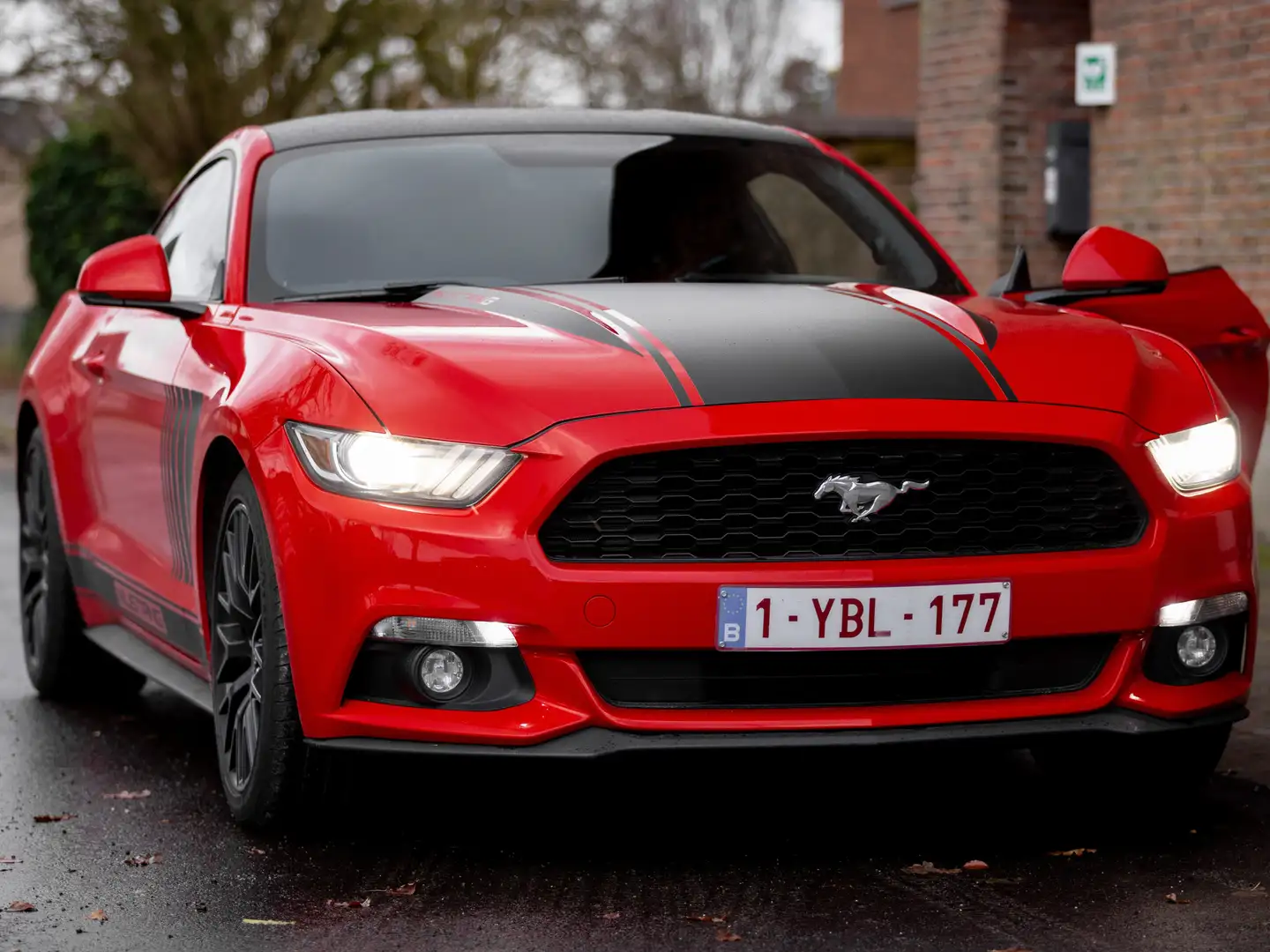 Ford Mustang Mustang 2.3 Eco Boost Rood - 1