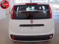 Fiat Panda 1.2 Easy Bianco - thumbnail 10