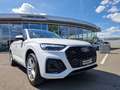 Audi Q5 Sportback 40 TDI quattro * S-LINE * AHK * PANORAMA Blanco - thumbnail 18