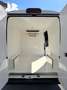 Fiat Ducato 2.3mjt 140cv L2H2 FRIGO Bianco - thumbnail 10