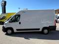 Fiat Ducato 2.3mjt 140cv L2H2 FRIGO Bianco - thumbnail 6