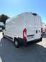 Fiat Ducato 2.3mjt 140cv L2H2 FRIGO Bianco - thumbnail 5