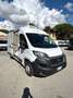 Fiat Ducato 2.3mjt 140cv L2H2 FRIGO Bianco - thumbnail 1