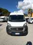 Fiat Ducato 2.3mjt 140cv L2H2 FRIGO Bianco - thumbnail 8