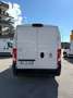 Fiat Ducato 2.3mjt 140cv L2H2 FRIGO Bianco - thumbnail 4