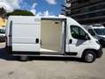 Fiat Ducato 2.3mjt 140cv L2H2 FRIGO Bianco - thumbnail 2