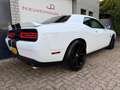 Dodge Challanger 5.7 V8 HEMI, Track Pack, 22 inch, Full Weiß - thumbnail 13