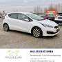 Kia Ceed / cee'd cee'd 1,6 CRDi Silber*12 Monate Garantie*Erstbe... Weiß - thumbnail 6