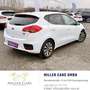 Kia Ceed / cee'd cee'd 1,6 CRDi Silber*12 Monate Garantie*Erstbe... Weiß - thumbnail 14