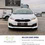 Kia Ceed / cee'd cee'd 1,6 CRDi Silber*12 Monate Garantie*Erstbe... Weiß - thumbnail 4
