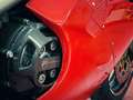 Ducati 996 biposto - thumbnail 4