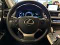 Lexus CT 200h Luxury Line|1e EIGENAAR|DEALER ONDERHOUDEN|LUXE UI Blauw - thumbnail 17