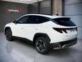 Hyundai TUCSON NX4 Jubile 1,6 T-GDi 2WD 48V Weiß - thumbnail 3