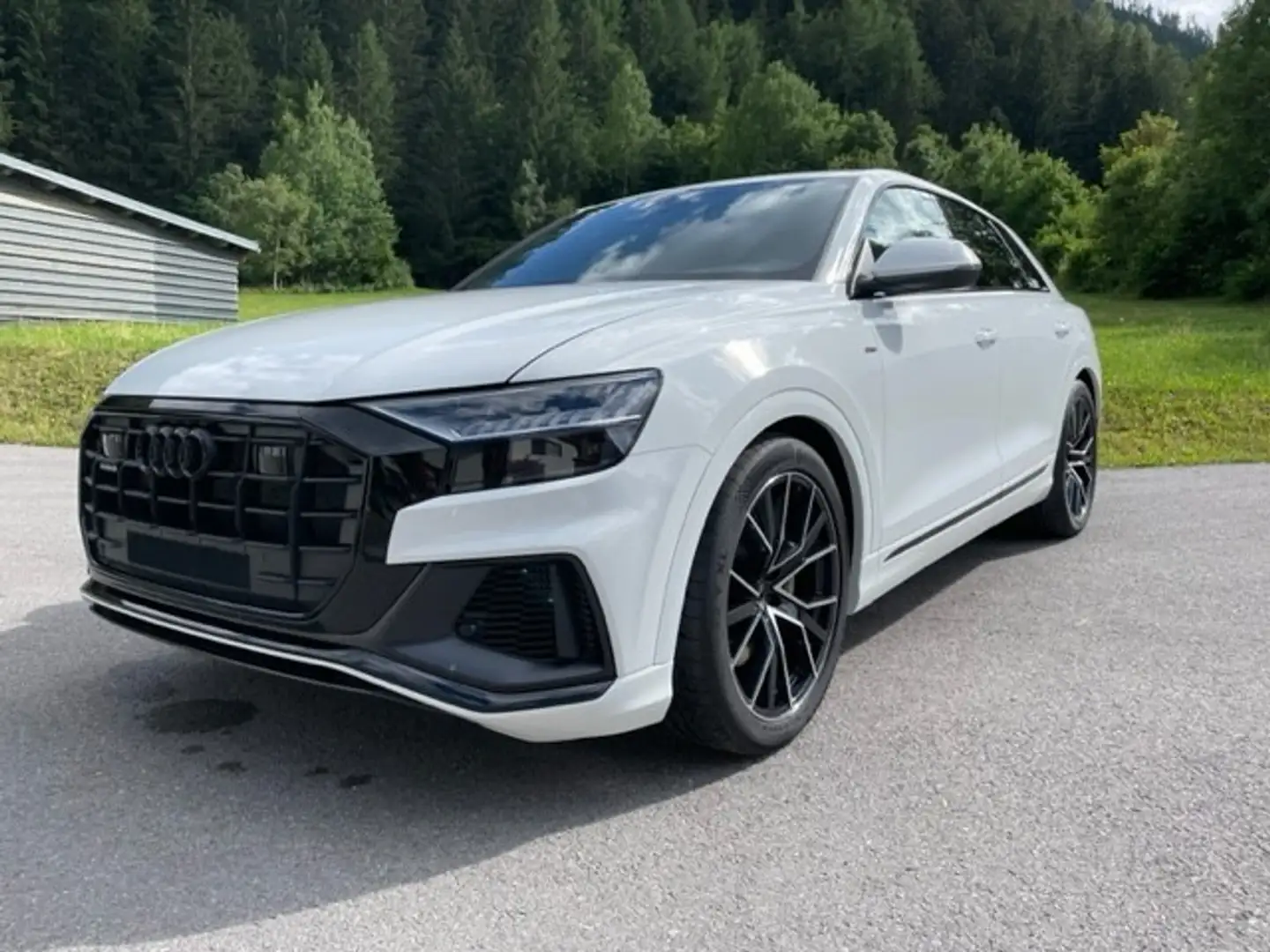 Audi Q8 55 TFSI e quattro Tiptronic Weiß - 1