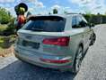 Audi SQ5 SQ5 3.0 V6 TFSi Quattro SQ5 Tiptronic Grijs - thumbnail 14