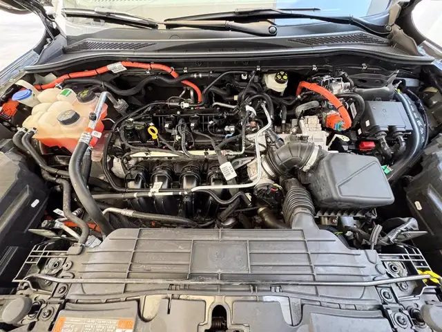 Ford Kuga view 13