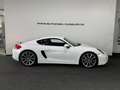 Porsche Cayman Coupe PDK Navi 20" Sportabgasanlage PASM bijela - thumbnail 4