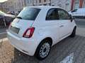 Fiat 500 NAVI PANO ALU MwSt. DAB Weiß - thumbnail 3