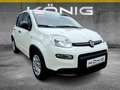 Fiat Panda MY24 1.0 Klima PDC Radio Weiß - thumbnail 2
