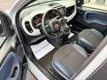 Fiat Panda Cross 1.0 hybrid 70cv UNIPRO Tagliando + GARANZIA! Gris - thumbnail 10