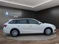 Skoda Octavia C. 1.0 TSI Active PDC*KLIMA*CARPLAY Klima Weiß - thumbnail 4