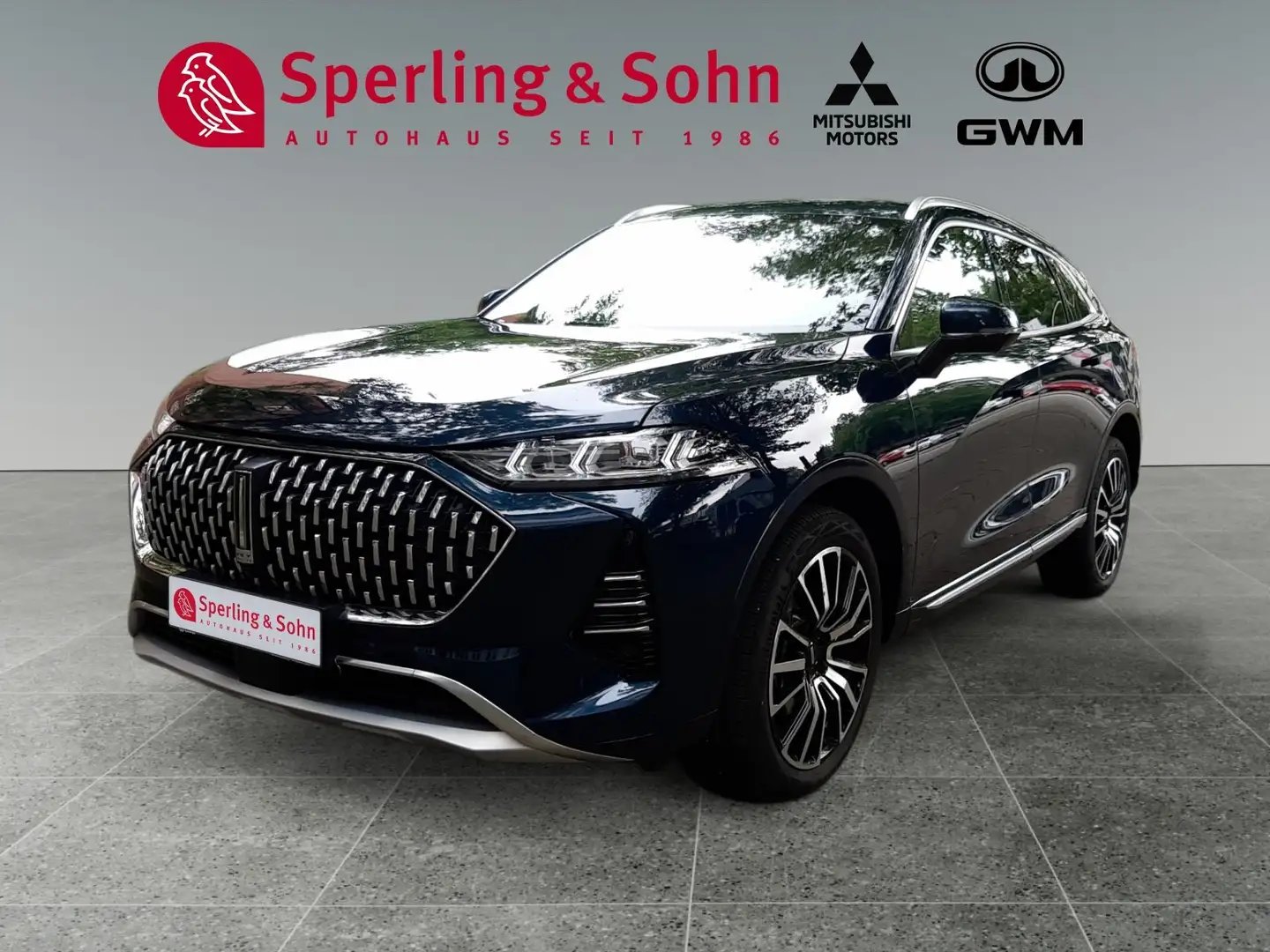 GWM WEY 05 WEY 05 Premium AWD mit Sportpaket, StHZ, 360 ° Albastru - 1