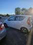 Suzuki Splash 1.0 vvt GL Style s&s Bianco - thumbnail 5
