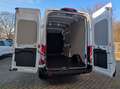 Ford Transit Kasten350 L3H3 Trend,NeuModell.Klimaauto Weiß - thumbnail 6