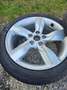 Hyundai VELOSTER Veloster 1,6 GDI Blau - thumbnail 13