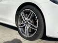 Mercedes-Benz E 400 T-Modell 4Matic AMG Line Pano RFK Sound Weiß - thumbnail 10