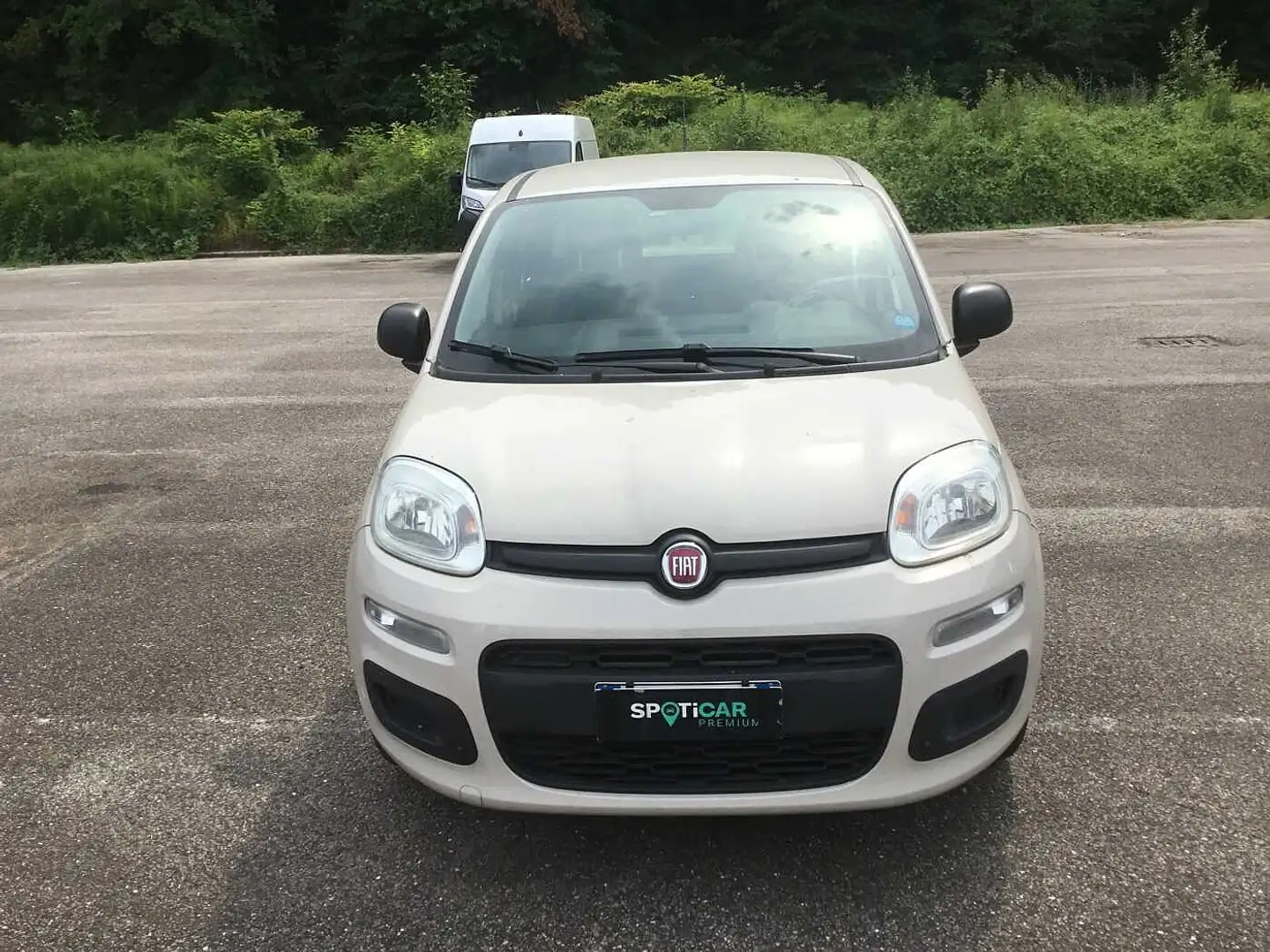 Fiat Panda Easy 1.2 69 cv - Usata Beige - 2