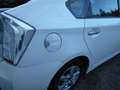 Toyota Prius Prius 1,8 VVT-i Hybrid Plug In Premium Weiß - thumbnail 6