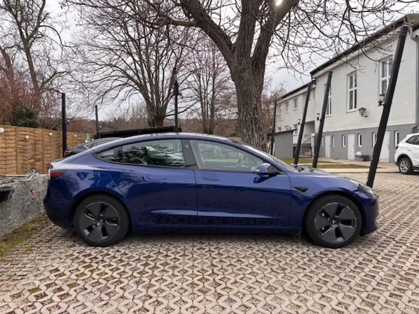 Tesla Model 3 Model 3 Standard Range RWD Plus 57,5kWh RWD Plus Blau - 2