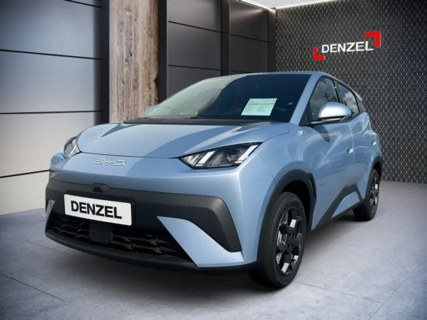 BYD Dolphin Surf Boost Blau - 2