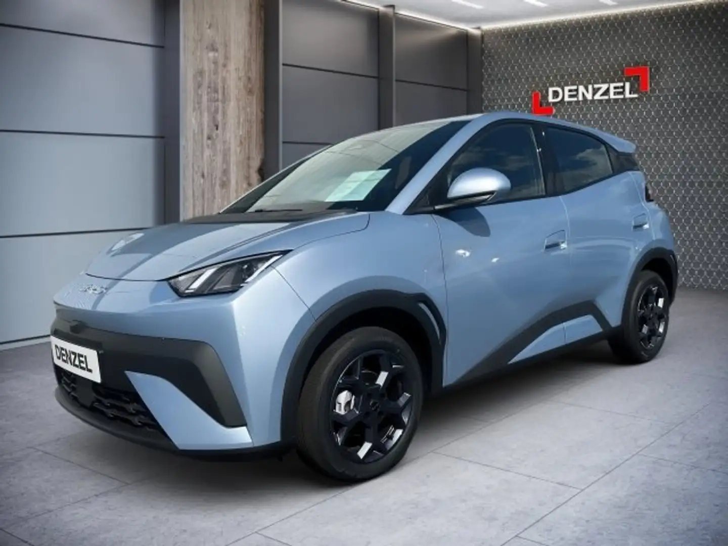 BYD Dolphin Surf Boost Blau - 1