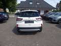 Ford Kuga Titanium X AHK + Allwetter + WP + PDC + 5 Jahre FG Bianco - thumbnail 4