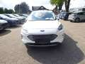 Ford Kuga Titanium X AHK + Allwetter + WP + PDC + 5 Jahre FG Bianco - thumbnail 2