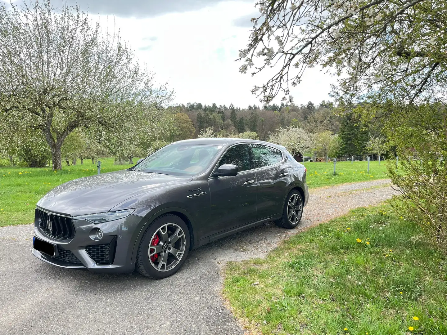 Maserati Levante Levante Modena S Grau - 2