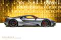Ford GT +LIFT+BREMBO+CERAMIC BRAKE+ Grau - thumbnail 3